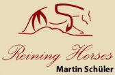 Martin Schüler Reining Horses